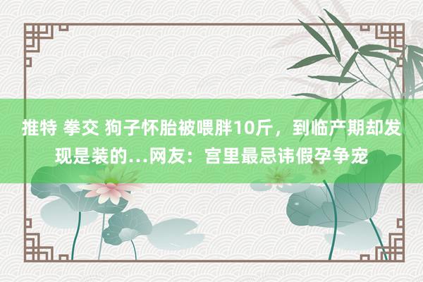 推特 拳交 狗子怀胎被喂胖10斤，到临产期却发现是装的…网友：宫里最忌讳假孕争宠