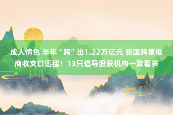 成人情色 半年“跨”出1.22万亿元 我国跨境电商收支口迅猛！13只倡导股获机构一致看多