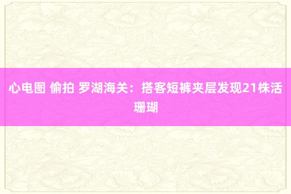 心电图 偷拍 罗湖海关：搭客短裤夹层发现21株活珊瑚