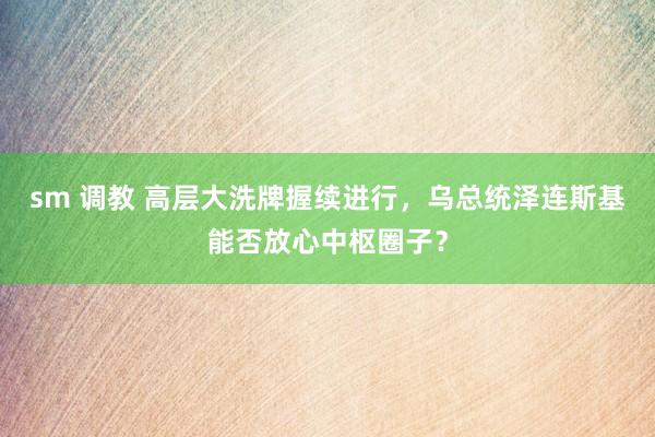 sm 调教 高层大洗牌握续进行，乌总统泽连斯基能否放心中枢圈子？