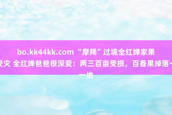 bo.kk44kk.com “摩羯”过境全红婵家果园受灾 全红婵爸爸很深爱：两三百亩受损，百香果掉落一地