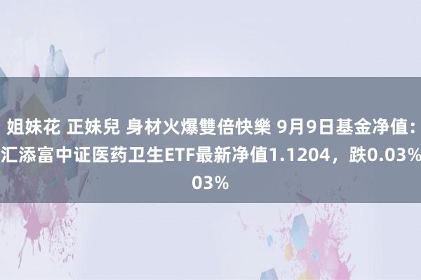 姐妹花 正妹兒 身材火爆雙倍快樂 9月9日基金净值：汇添富中证医药卫生ETF最新净值1.1204，跌0.03%