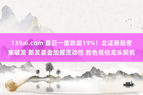 139ai.com 首日一度跌超19%！北证新股密集破发 新发基金加握流动性 脸色低估龙头契机