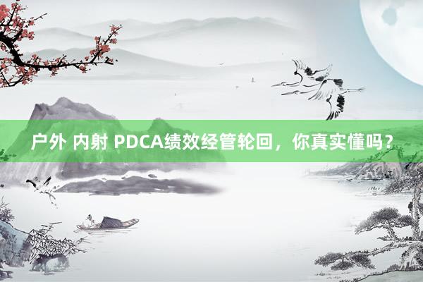 户外 内射 PDCA绩效经管轮回，你真实懂吗？