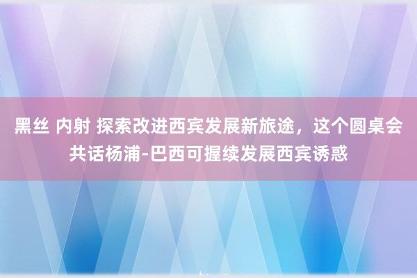 黑丝 内射 探索改进西宾发展新旅途，这个圆桌会共话杨浦-巴西可握续发展西宾诱惑