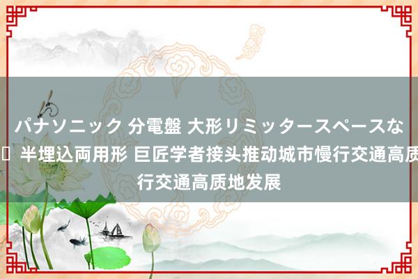 パナソニック 分電盤 大形リミッタースペースなし 露出・半埋込両用形 巨匠学者接头推动城市慢行交通高质地发展