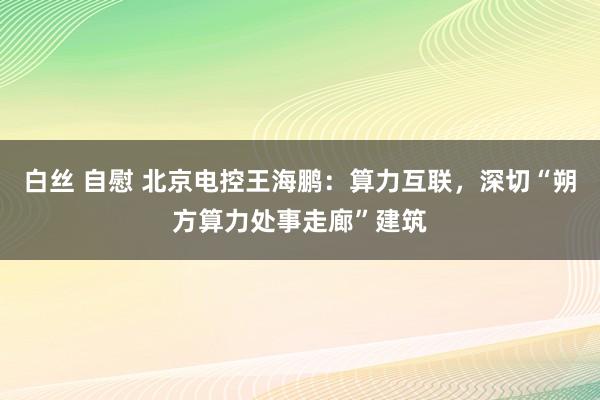 白丝 自慰 北京电控王海鹏：算力互联，深切“朔方算力处事走廊”建筑