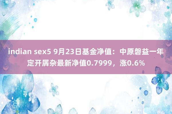 indian sex5 9月23日基金净值：中原磐益一年定开羼杂最新净值0.7999，涨0.6%