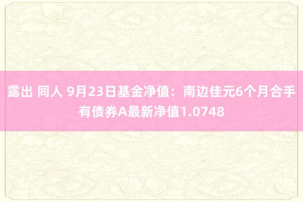 露出 同人 9月23日基金净值：南边佳元6个月合手有债券A最新净值1.0748