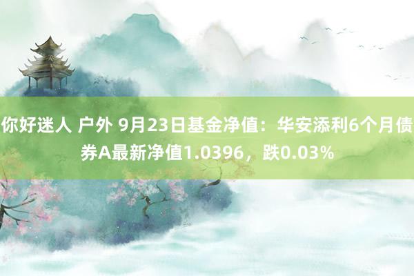 你好迷人 户外 9月23日基金净值：华安添利6个月债券A最新净值1.0396，跌0.03%