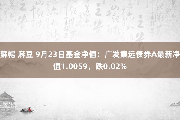 蘇暢 麻豆 9月23日基金净值：广发集远债券A最新净值1.0059，跌0.02%