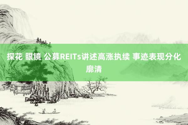 探花 眼镜 公募REITs讲述高涨执续 事迹表现分化廓清