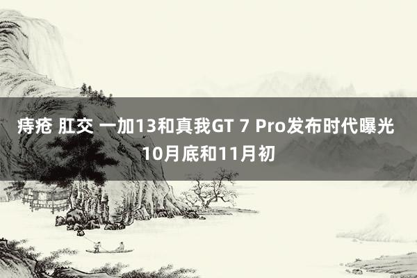 痔疮 肛交 一加13和真我GT 7 Pro发布时代曝光 10月底和11月初