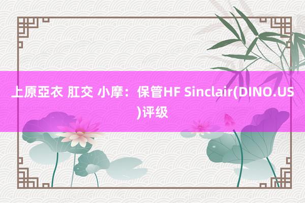 上原亞衣 肛交 小摩：保管HF Sinclair(DINO.US)评级