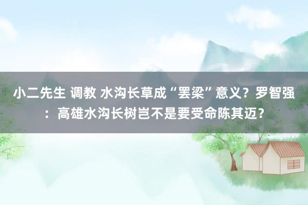 小二先生 调教 水沟长草成“罢梁”意义？罗智强：高雄水沟长树岂不是要受命陈其迈？