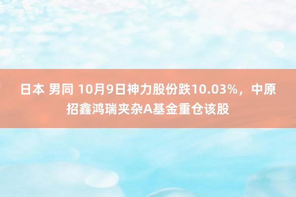 日本 男同 10月9日神力股份跌10.03%，中原招鑫鸿瑞夹杂A基金重仓该股