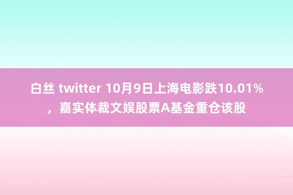 白丝 twitter 10月9日上海电影跌10.01%，嘉实体裁文娱股票A基金重仓该股