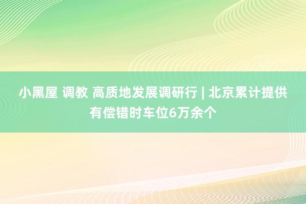 小黑屋 调教 高质地发展调研行 | 北京累计提供有偿错时车位6万余个