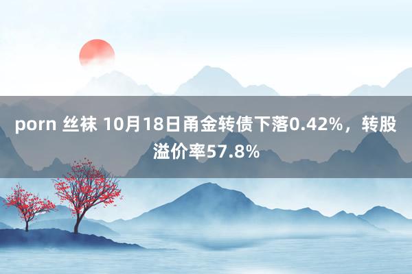 porn 丝袜 10月18日甬金转债下落0.42%，转股溢价率57.8%