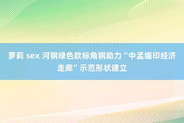 萝莉 sex 河钢绿色欧标角钢助力“中孟缅印经济走廊”示范形状建立