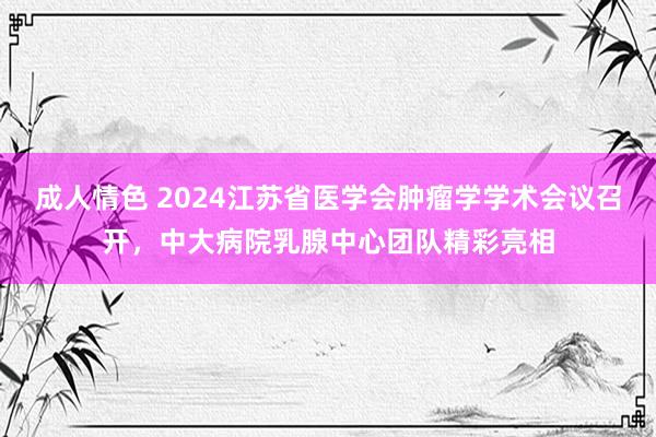 成人情色 2024江苏省医学会肿瘤学学术会议召开，中大病院乳腺中心团队精彩亮相