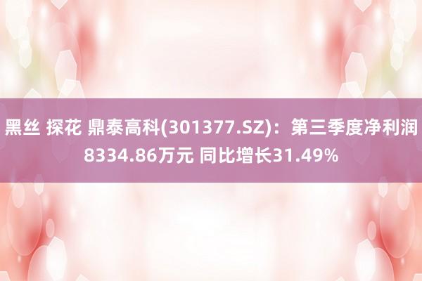 黑丝 探花 鼎泰高科(301377.SZ)：第三季度净利润8334.86万元 同比增长31.49%