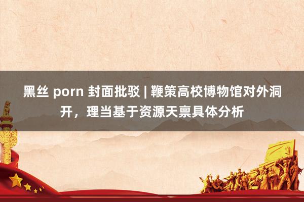 黑丝 porn 封面批驳 | 鞭策高校博物馆对外洞开，理当基于资源天禀具体分析