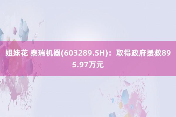 姐妹花 泰瑞机器(603289.SH)：取得政府援救895.97万元