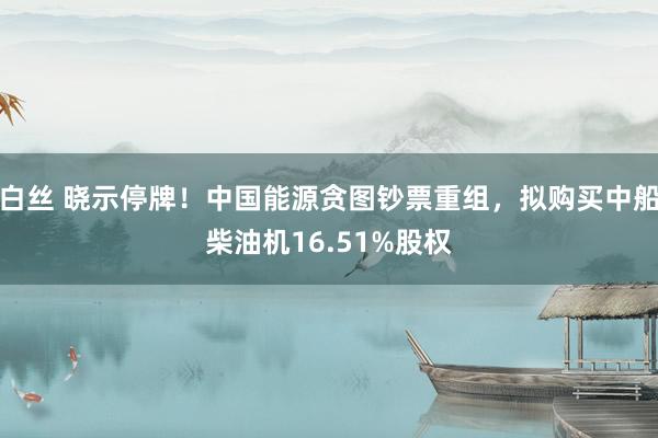 白丝 晓示停牌！中国能源贪图钞票重组，拟购买中船柴油机16.51%股权