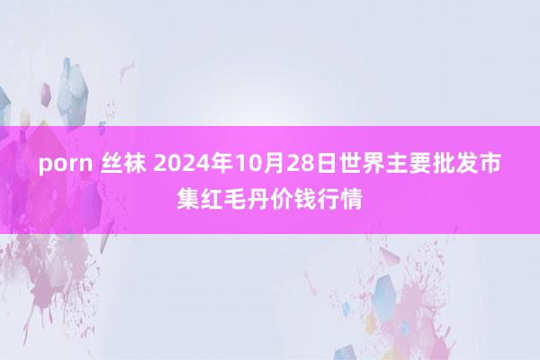 porn 丝袜 2024年10月28日世界主要批发市集红毛丹价钱行情