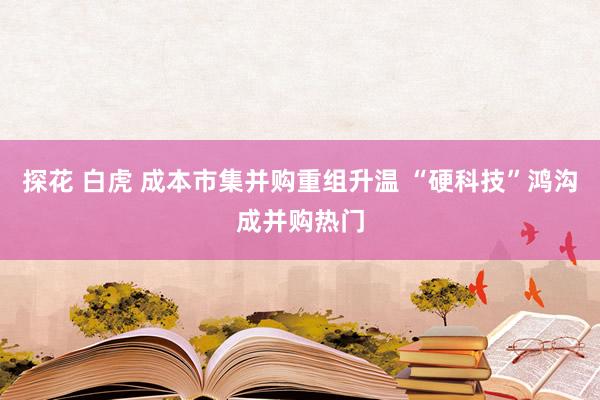 探花 白虎 成本市集并购重组升温 “硬科技”鸿沟成并购热门