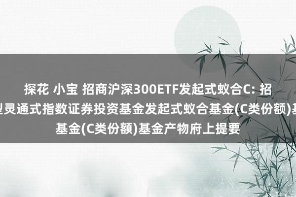 探花 小宝 招商沪深300ETF发起式蚁合C: 招商沪深300交游型灵通式指数证券投资基金发起式蚁合基金(C类份额)基金产物府上提要