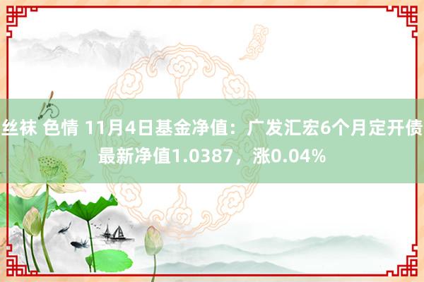 丝袜 色情 11月4日基金净值：广发汇宏6个月定开债最新净值1.0387，涨0.04%