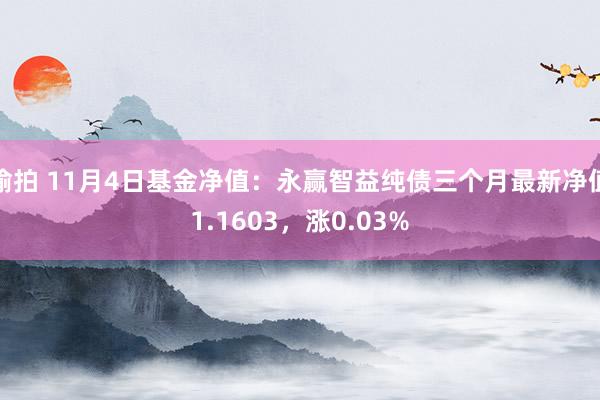 偷拍 11月4日基金净值：永赢智益纯债三个月最新净值1.1603，涨0.03%