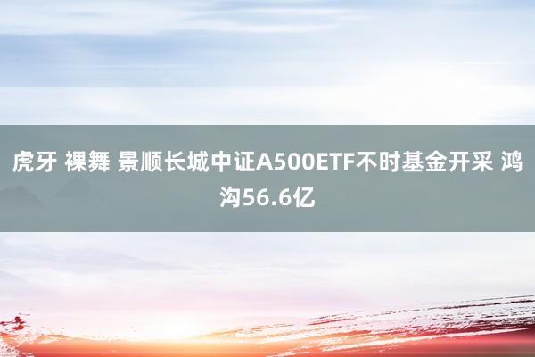 虎牙 裸舞 景顺长城中证A500ETF不时基金开采 鸿沟56.6亿