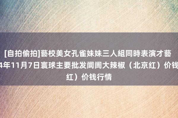 [自拍偷拍]藝校美女孔雀妹妹三人組同時表演才藝 2024年11月7日寰球主要批发阛阓大辣椒（北京红）价钱行情