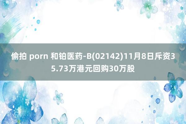 偷拍 porn 和铂医药-B(02142)11月8日斥资35.73万港元回购30万股