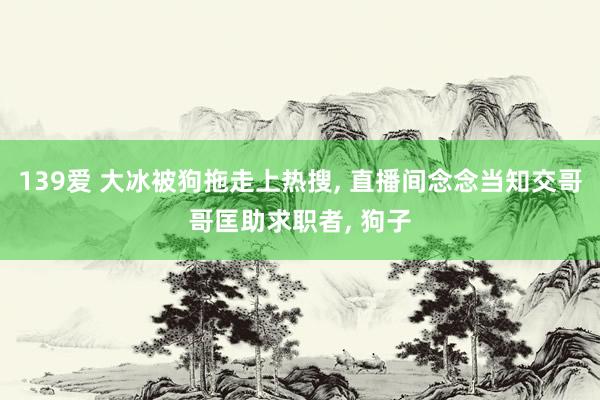 139爱 大冰被狗拖走上热搜， 直播间念念当知交哥哥匡助求职者， 狗子