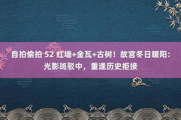 自拍偷拍 52 红墙+金瓦+古树！故宫冬日暖阳：光影斑驳中，重逢历史拒接