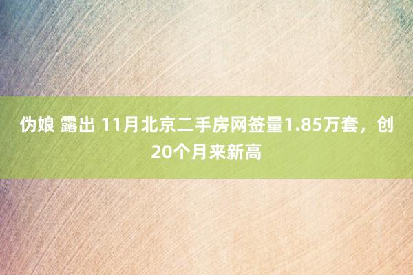 伪娘 露出 11月北京二手房网签量1.85万套，创20个月来新高