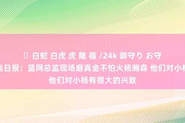 ✨白蛇 白虎 虎 龍 福 /24k 御守り お守り 👀青岛日报：篮网总监现场磨真金不怕火杨瀚森 他们对小杨有很大的兴致