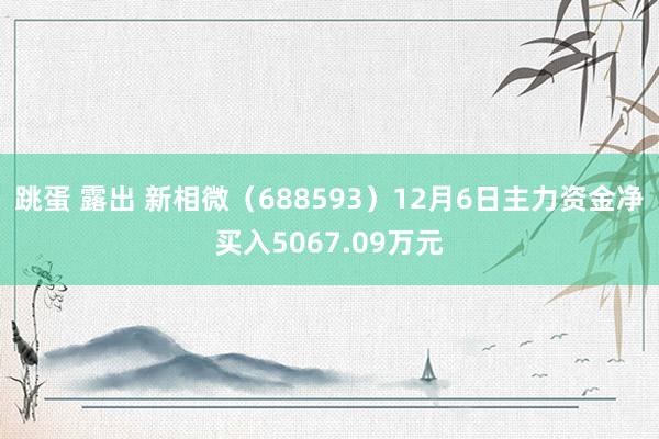 跳蛋 露出 新相微（688593）12月6日主力资金净买入5067.09万元