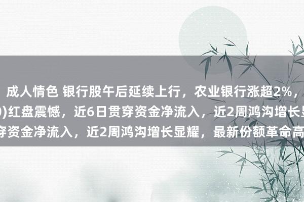 成人情色 银行股午后延续上行，农业银行涨超2%，银行ETF龙头(512820)红盘震憾，近6日贯穿资金净流入，近2周鸿沟增长显耀，最新份额革命高！