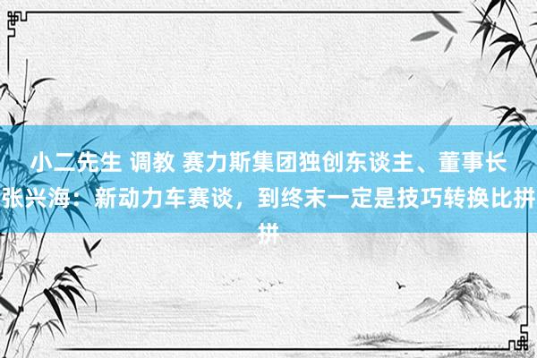 小二先生 调教 赛力斯集团独创东谈主、董事长张兴海：新动力车赛谈，到终末一定是技巧转换比拼