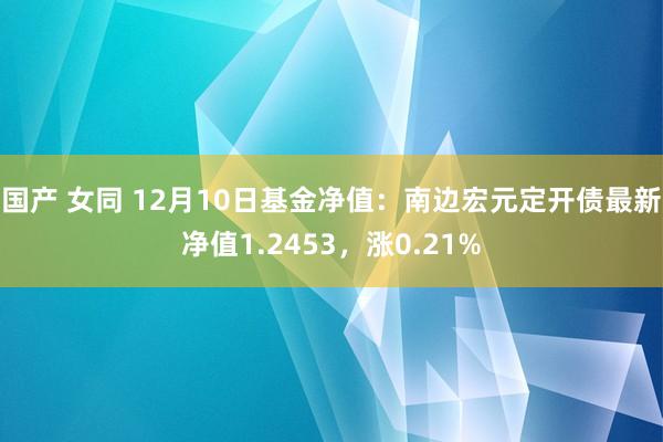 国产 女同 12月10日基金净值：南边宏元定开债最新净值1.2453，涨0.21%