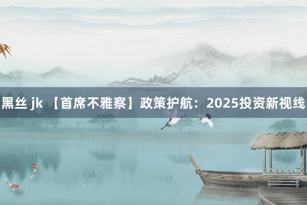 黑丝 jk 【首席不雅察】政策护航：2025投资新视线