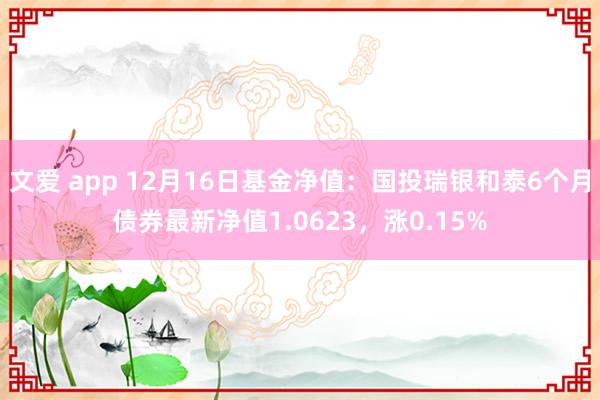 文爱 app 12月16日基金净值：国投瑞银和泰6个月债券最新净值1.0623，涨0.15%