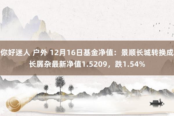 你好迷人 户外 12月16日基金净值：景顺长城转换成长羼杂最新净值1.5209，跌1.54%