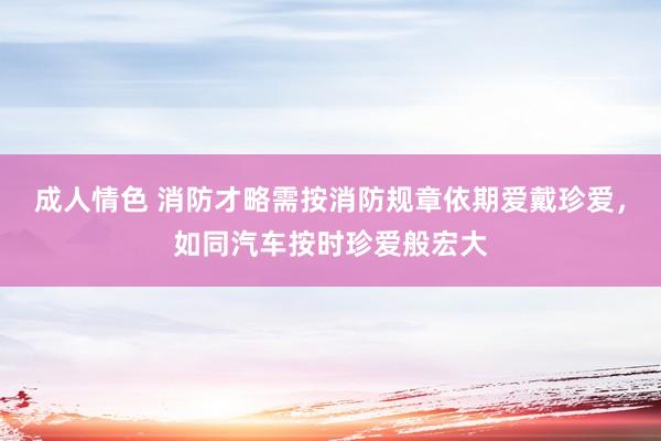 成人情色 消防才略需按消防规章依期爱戴珍爱，如同汽车按时珍爱般宏大