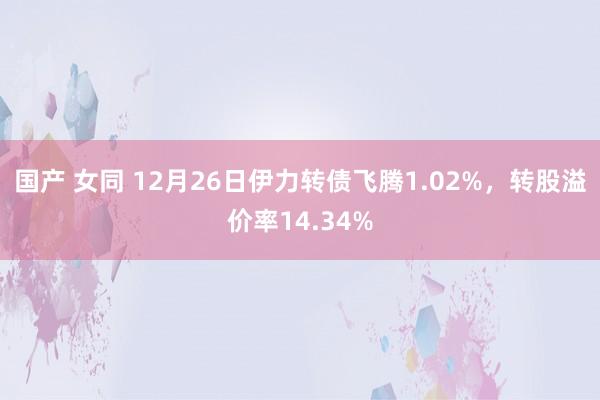 国产 女同 12月26日伊力转债飞腾1.02%，转股溢价率14.34%